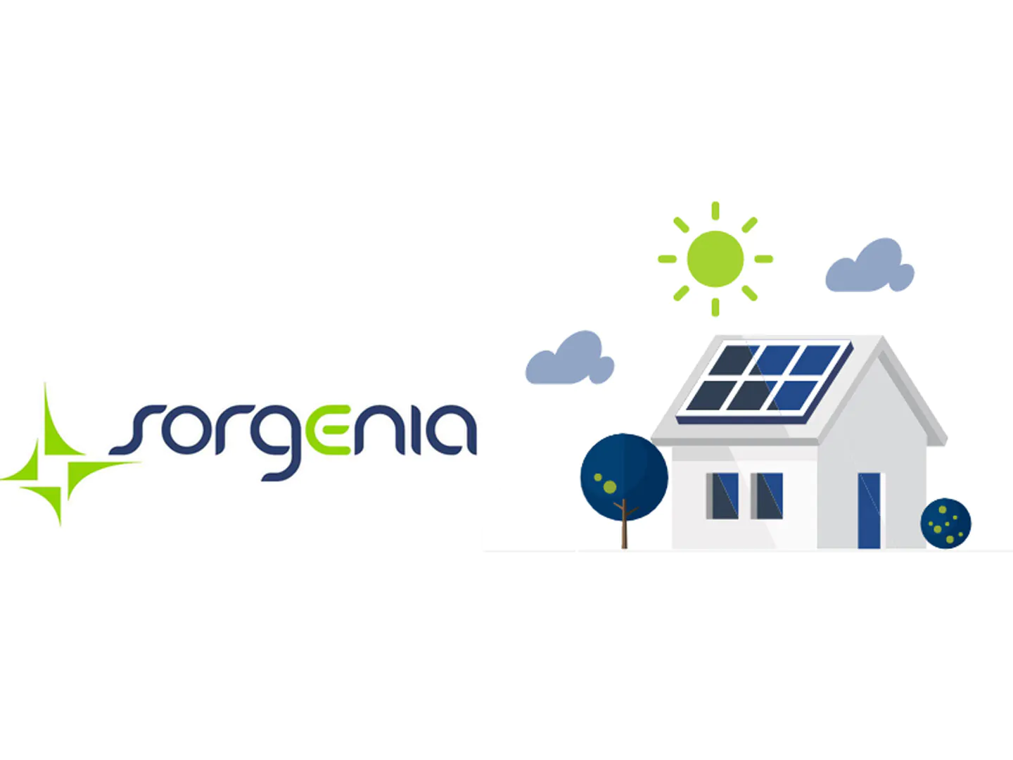 Offerta di impiego Sorgenia: Contribuisci al futuro energetico